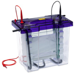 英國ceaver,垂直凝膠電泳儀