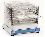 西班牙selecta,振蕩器